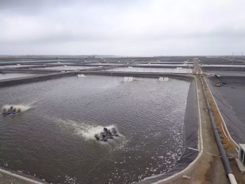 水质管理攻略 秋季水产养殖的重中之重