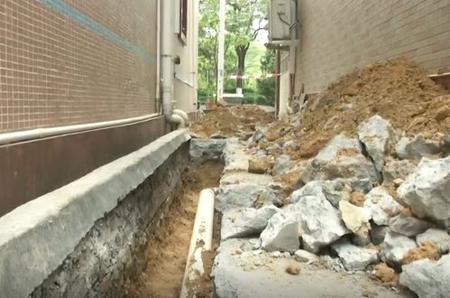 梁维东深入茅洲河流域调研水污染治理工作，强调系统治理与长效机制建设