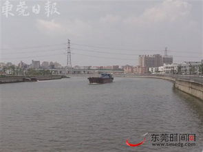 东莞水污染治理百日攻坚行动全面提速，现场指挥部力促各项工作见实效