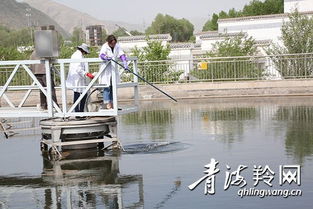 只为清水进万家——我省持续深化水污染综合治理综述