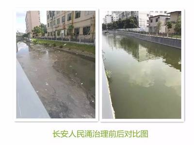 治污有成效!吕业升肯定杨志峰院士团队水污染治理工作_科技_网